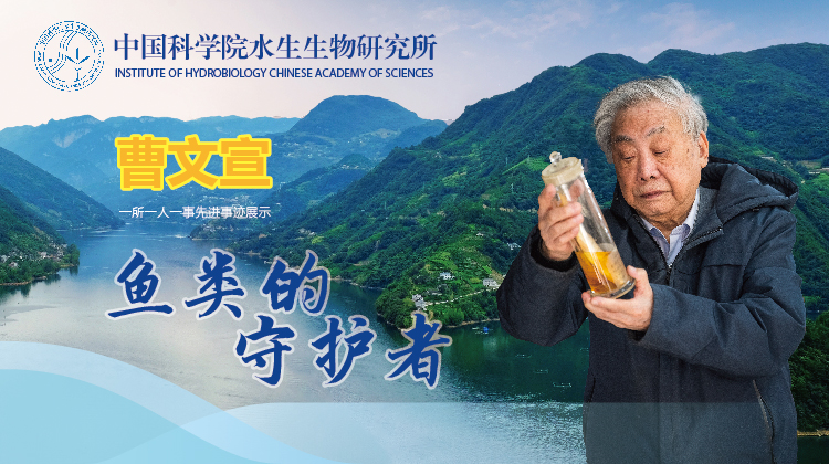 曹文宣：鱼类的守护者
